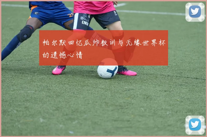 帕尔默回忆瓜帅教训与无缘世界杯的遗憾心情