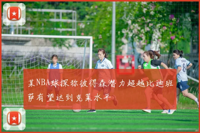 某NBA球探称彼得森潜力超越比迪班萨有望达到克莱水平
